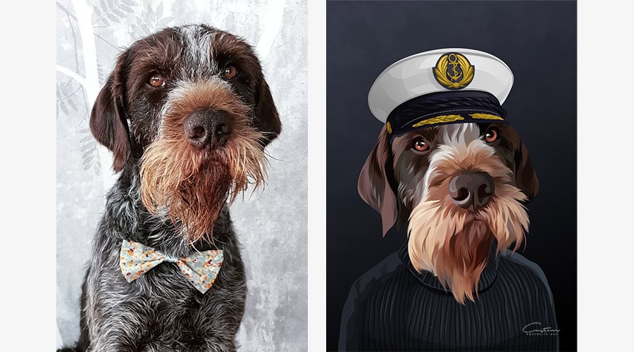 retratos de mascotas disfrazadas