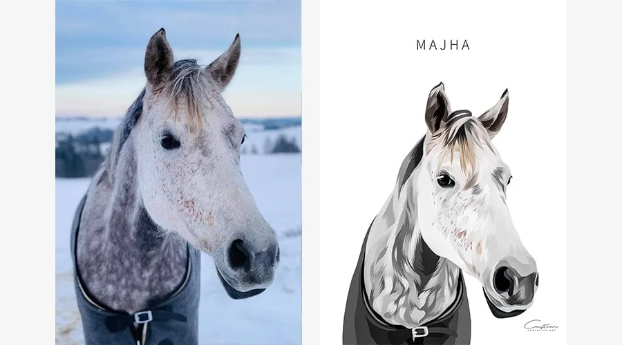custom horse portraits