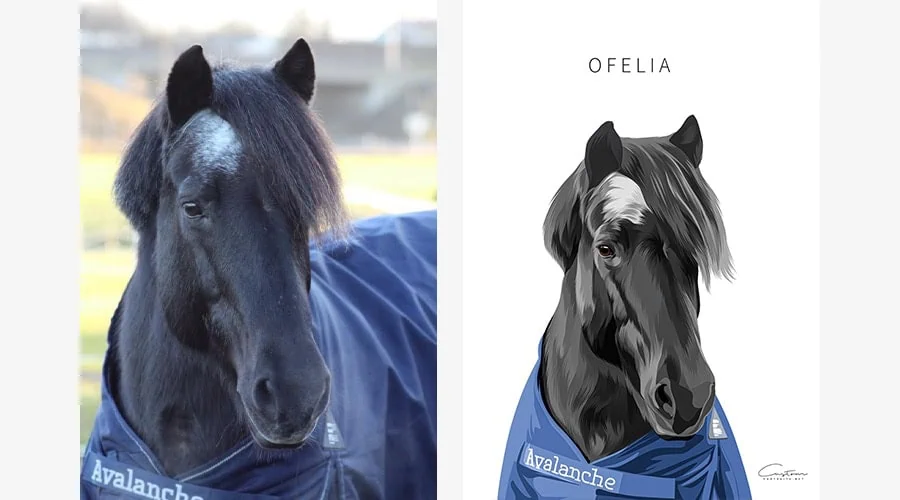 personalized horse illustration