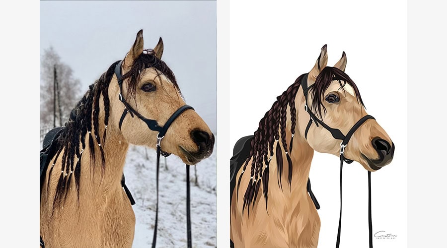 personalized horse portraits