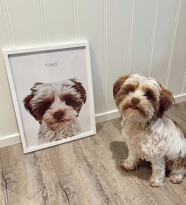 best dog portraits