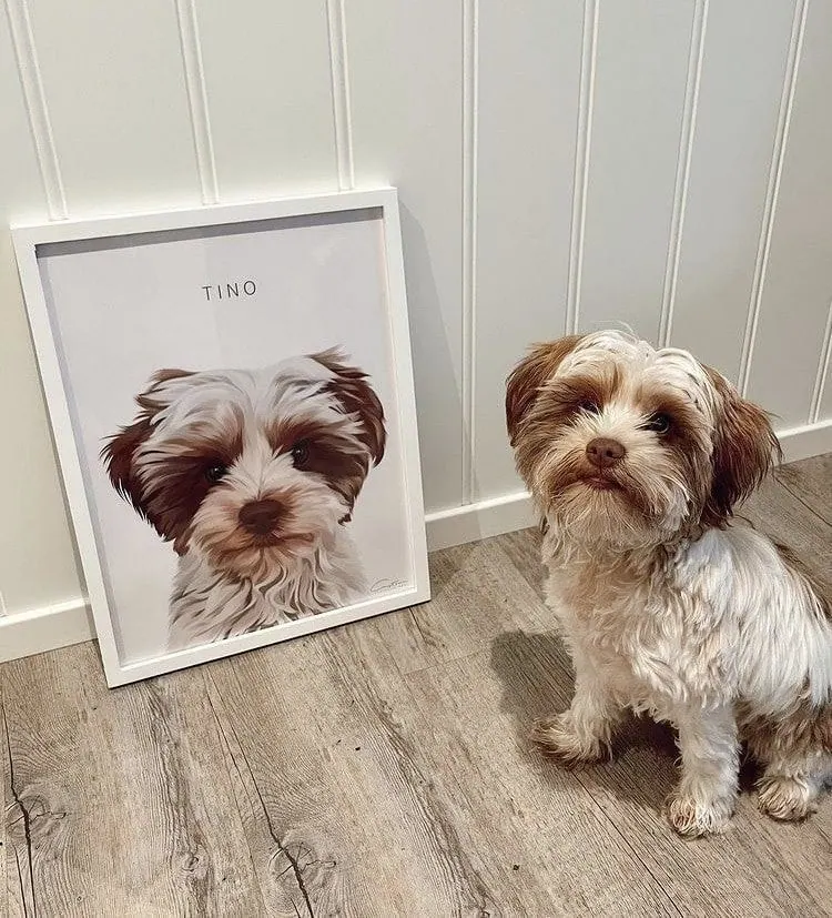 best dog portraits