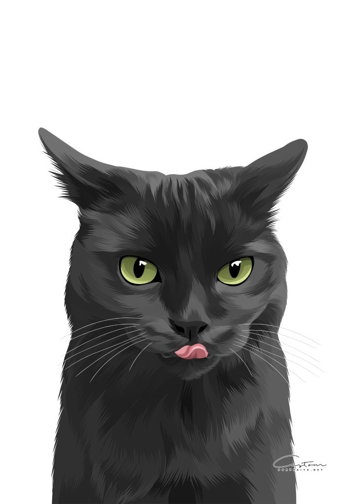 black cat artwork