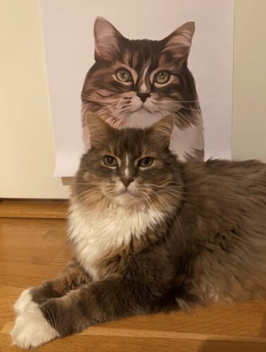 cat modern portrait