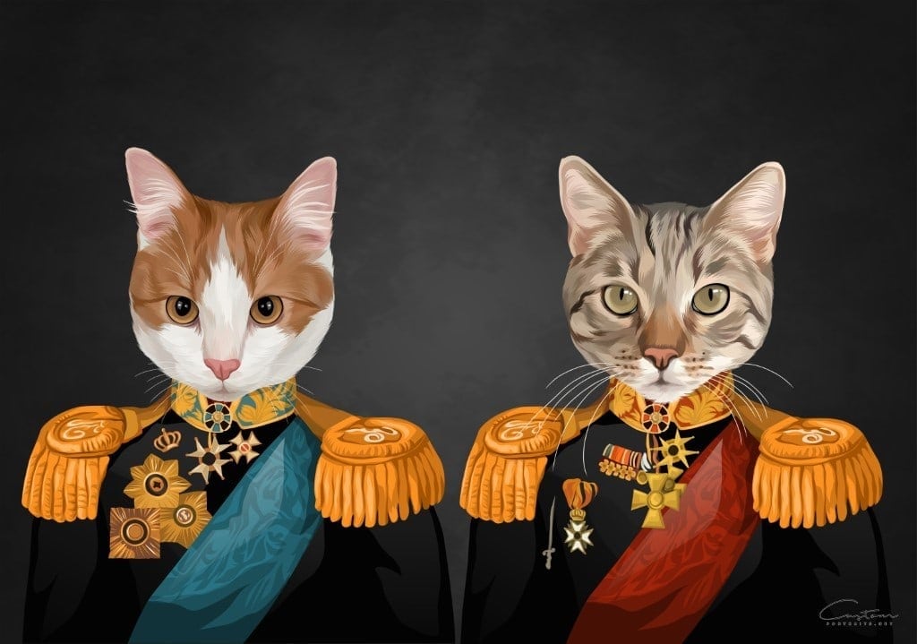 cat royal portrait