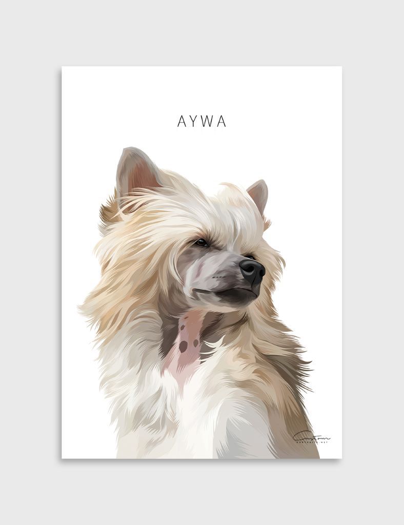 chinese crested art