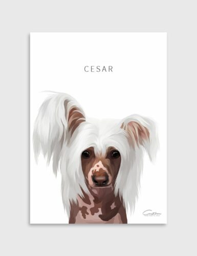 chinese crested painting
