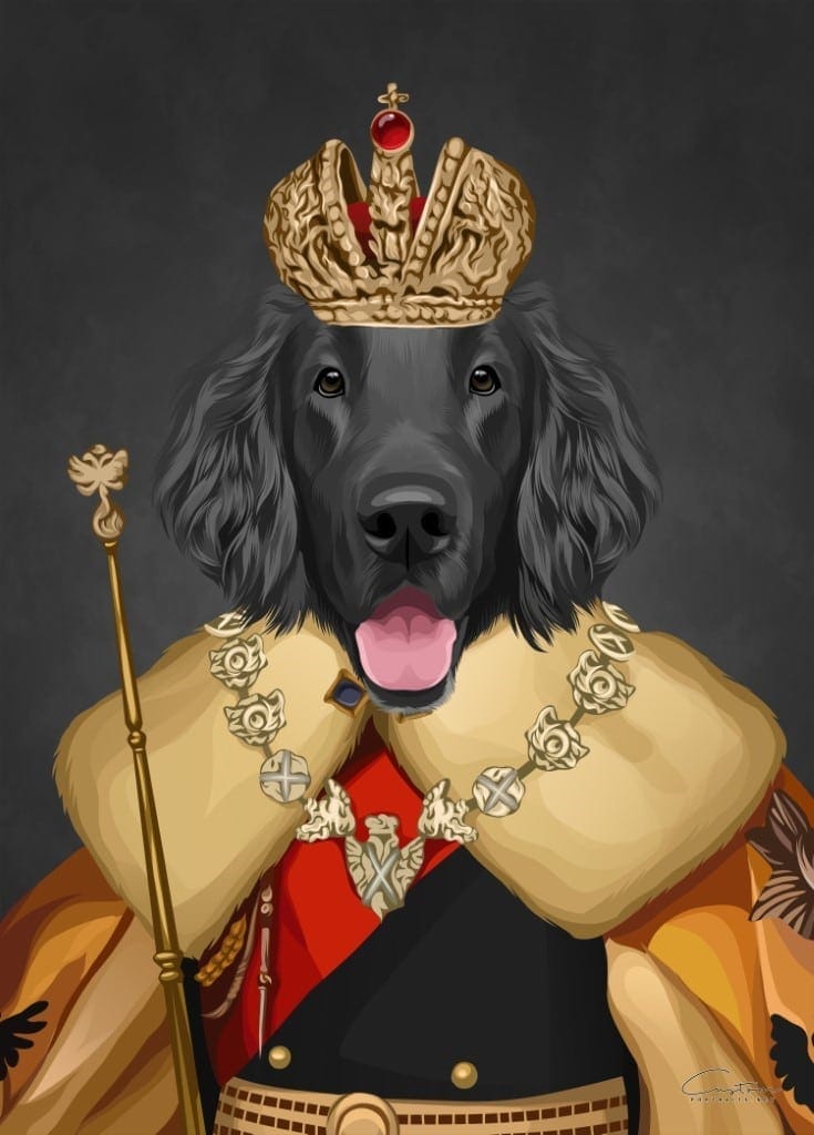 crown and paw pet portraits
