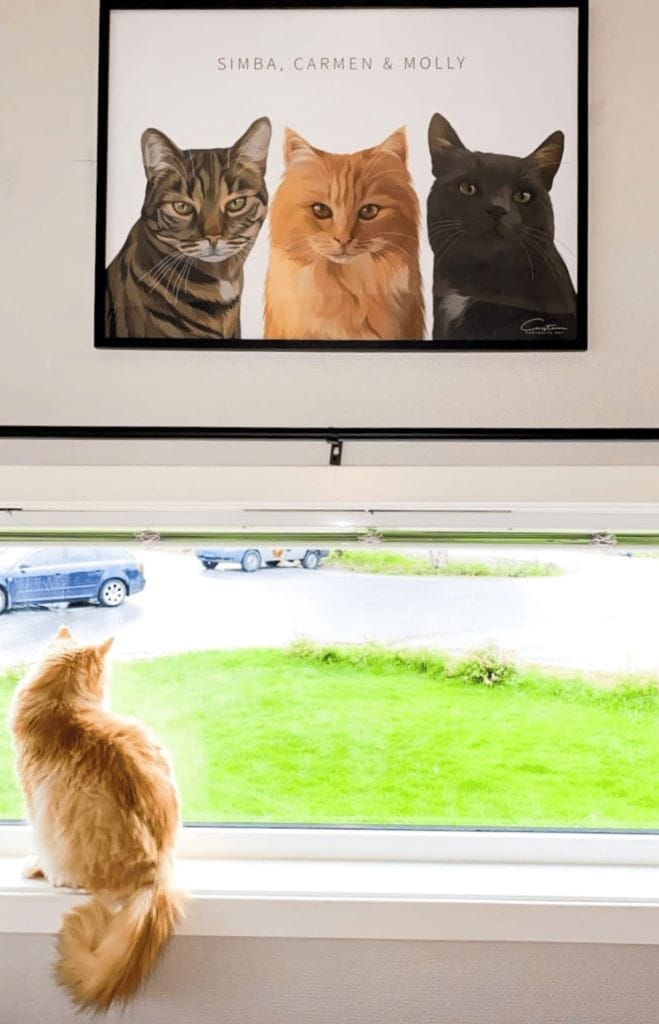 custom cat prints