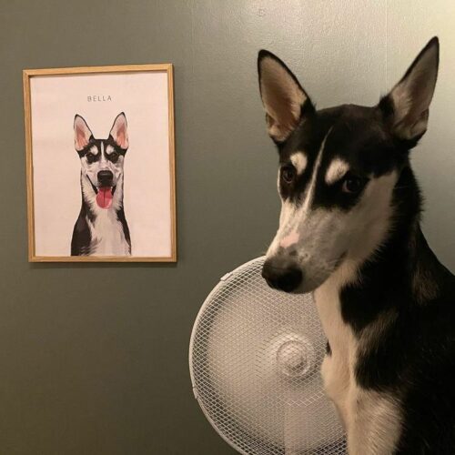 custom dog prints