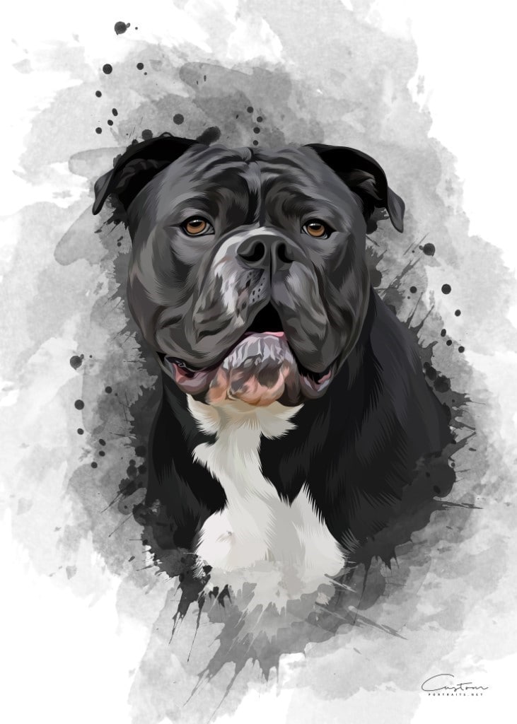 custom pet watercolor portrait