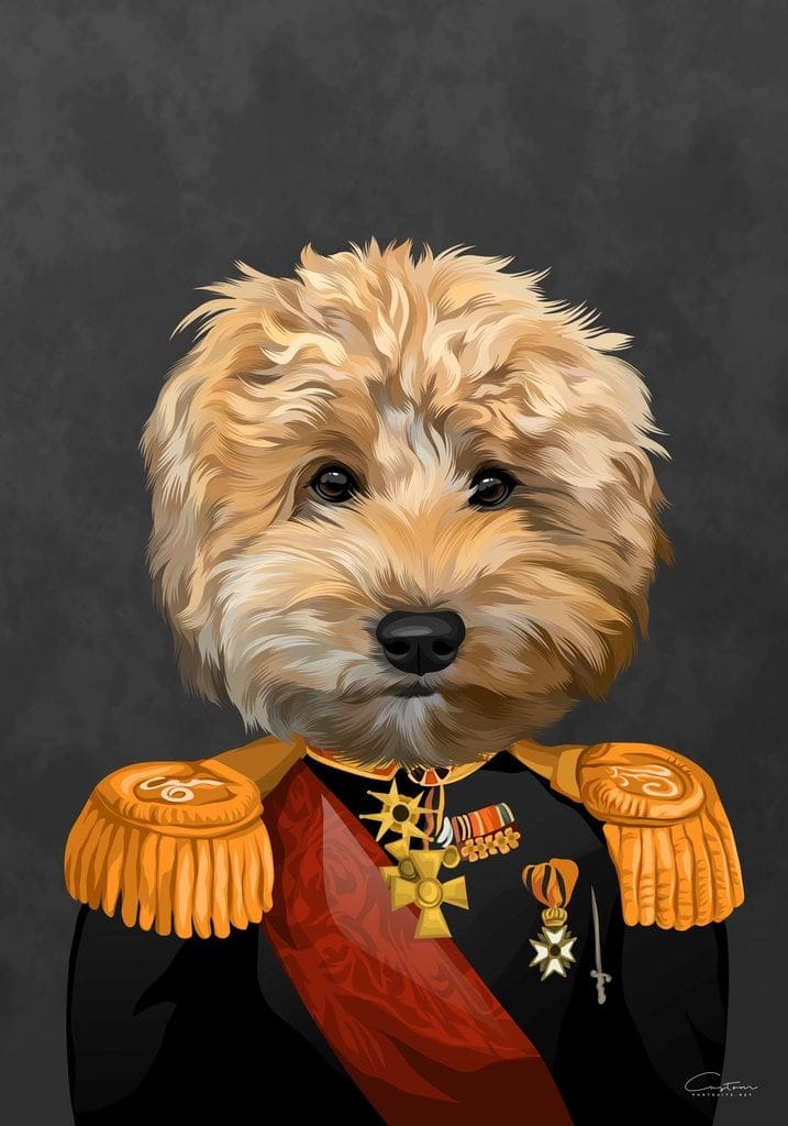 dog in army uniform