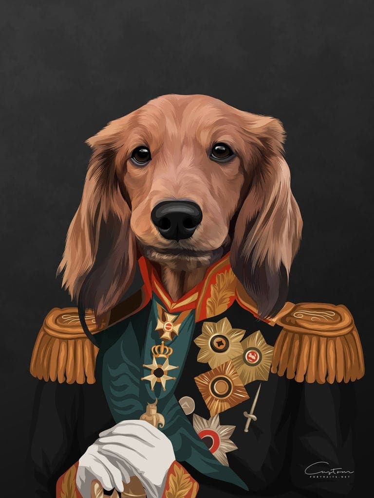 dog regal portrait