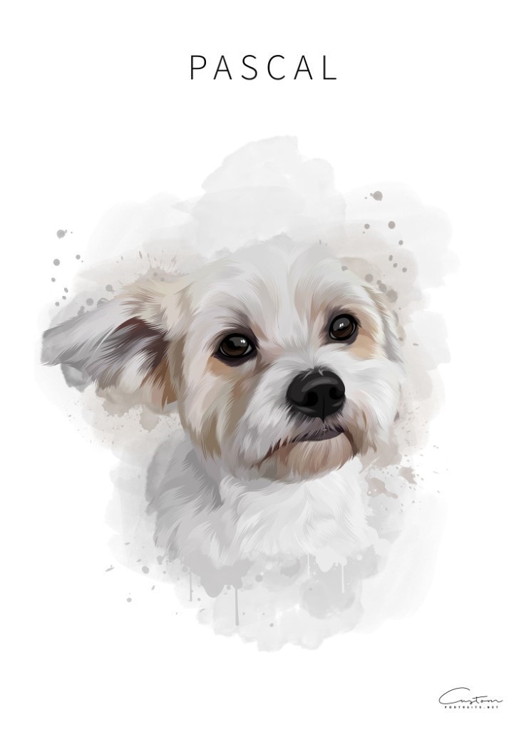 dog watercolor artist