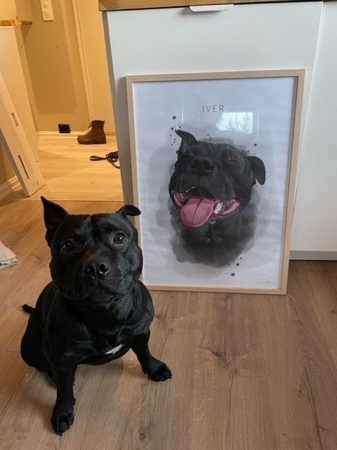 dog watercolor portrait