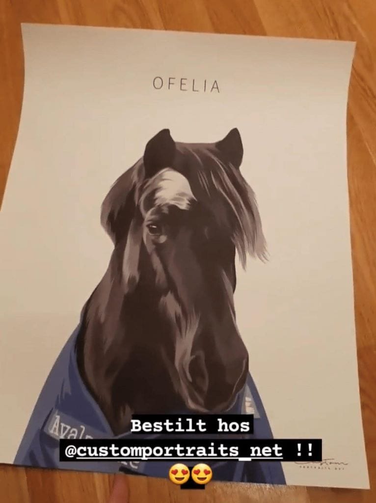 horse illustration portraits