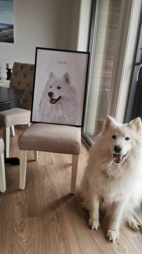 personalized dog portraits