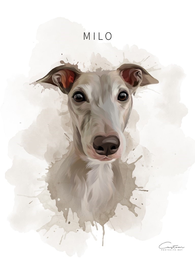 whippet watercolour